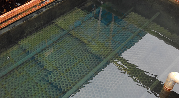 描述污泥特性的指標有哪些?-青島樂中環?？萍加邢薰? />
</p>
<p style=