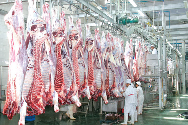 屠宰廢水處理方法有哪些？屠宰廢水處理設備價格分享