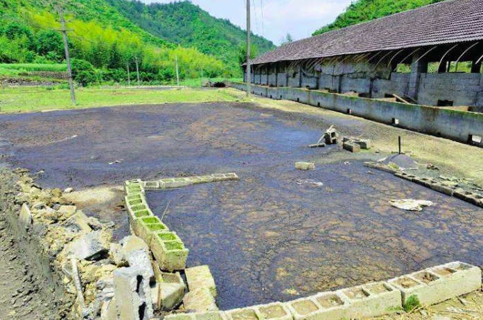 養豬污水變清水最快方法，養豬場污水處理方法有哪些-樂中環保