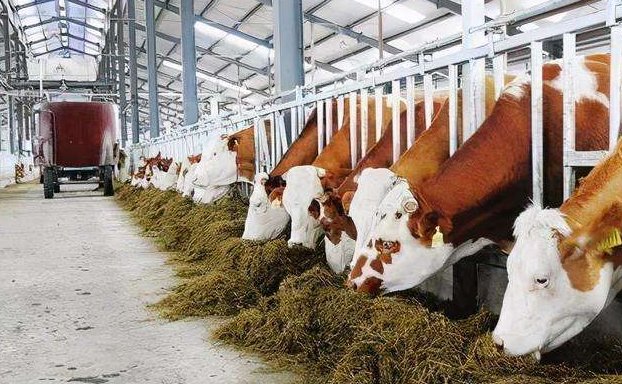 養(yǎng)殖污水處理設(shè)備的如何調(diào)試才能保障正常運(yùn)行?02 養(yǎng)殖污水處理設(shè)備的如何調(diào)試才能保障正常運(yùn)行?02