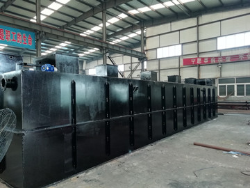 揭秘：海鮮加工廠如何有效處理清洗廢水？